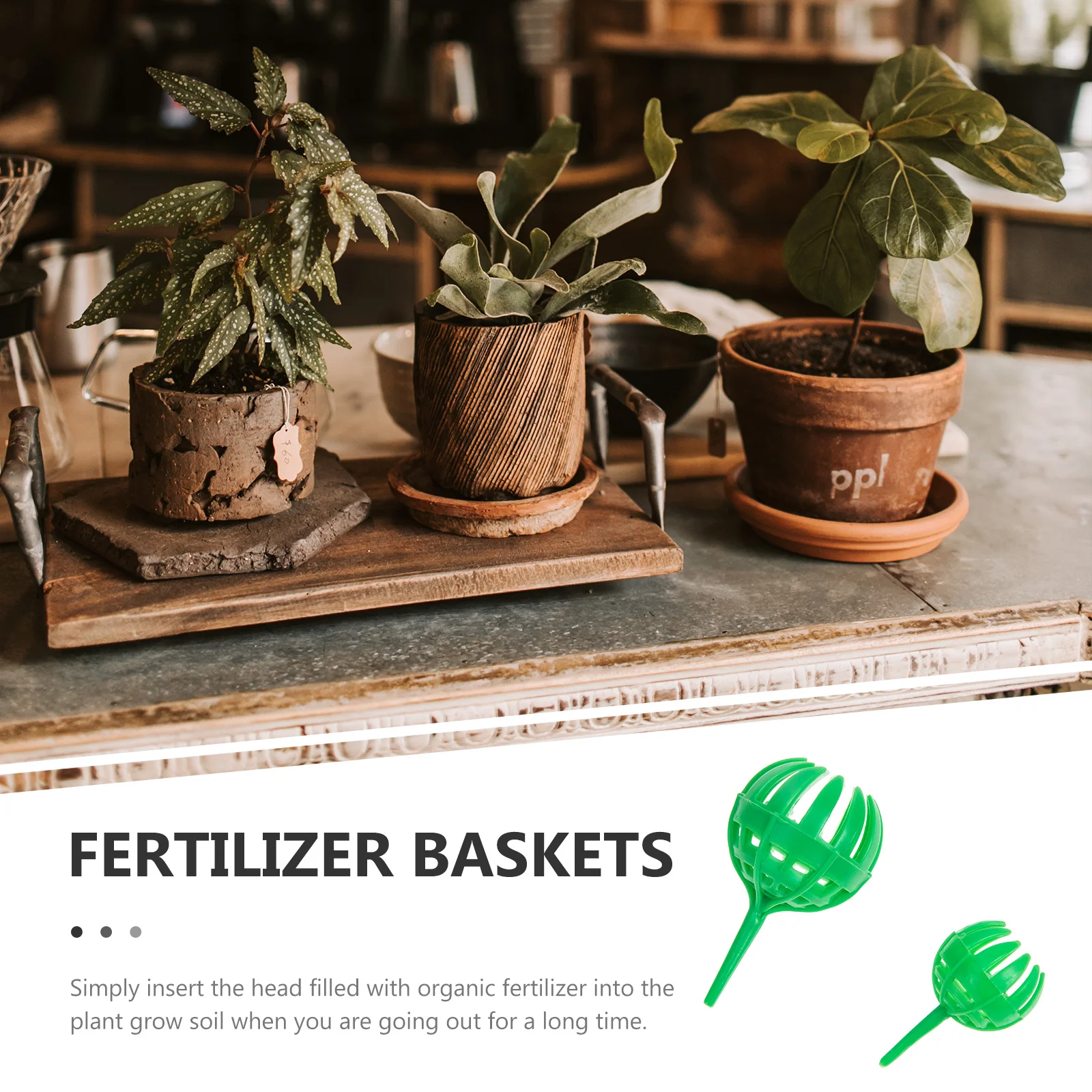 

30Pcs Gardening Fertilizer Basket with Fine Workmanship PP Material Fertilizer Holder for Orchid Flower Bonsai Mini Plant Tool