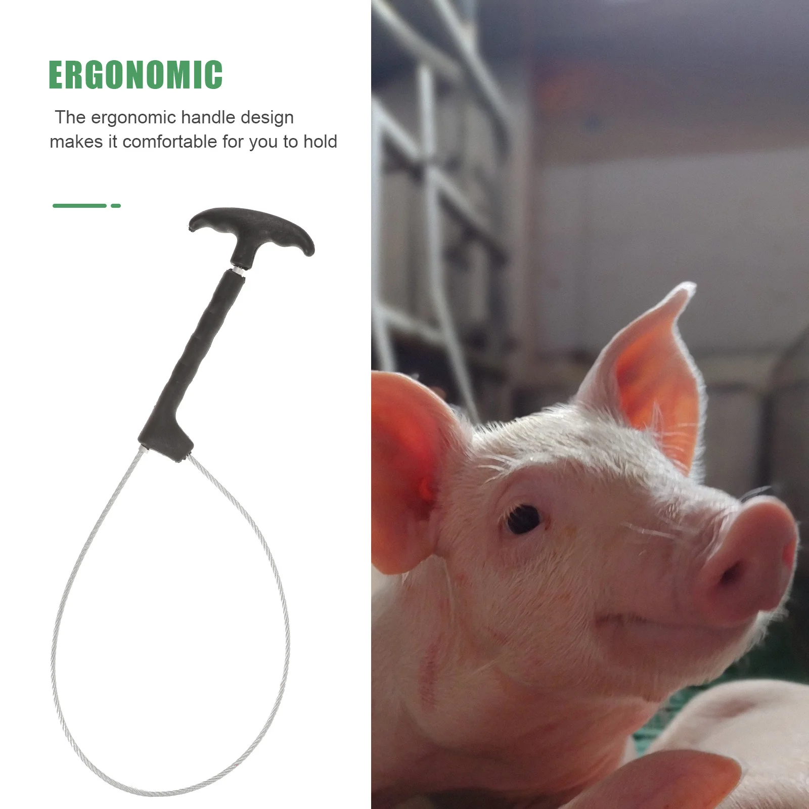 

Pig Holder Catcher Stainless Steel Wire Snare Farm Livestock Adjustable Tool Lightweight Smooth Edges Practical Pig