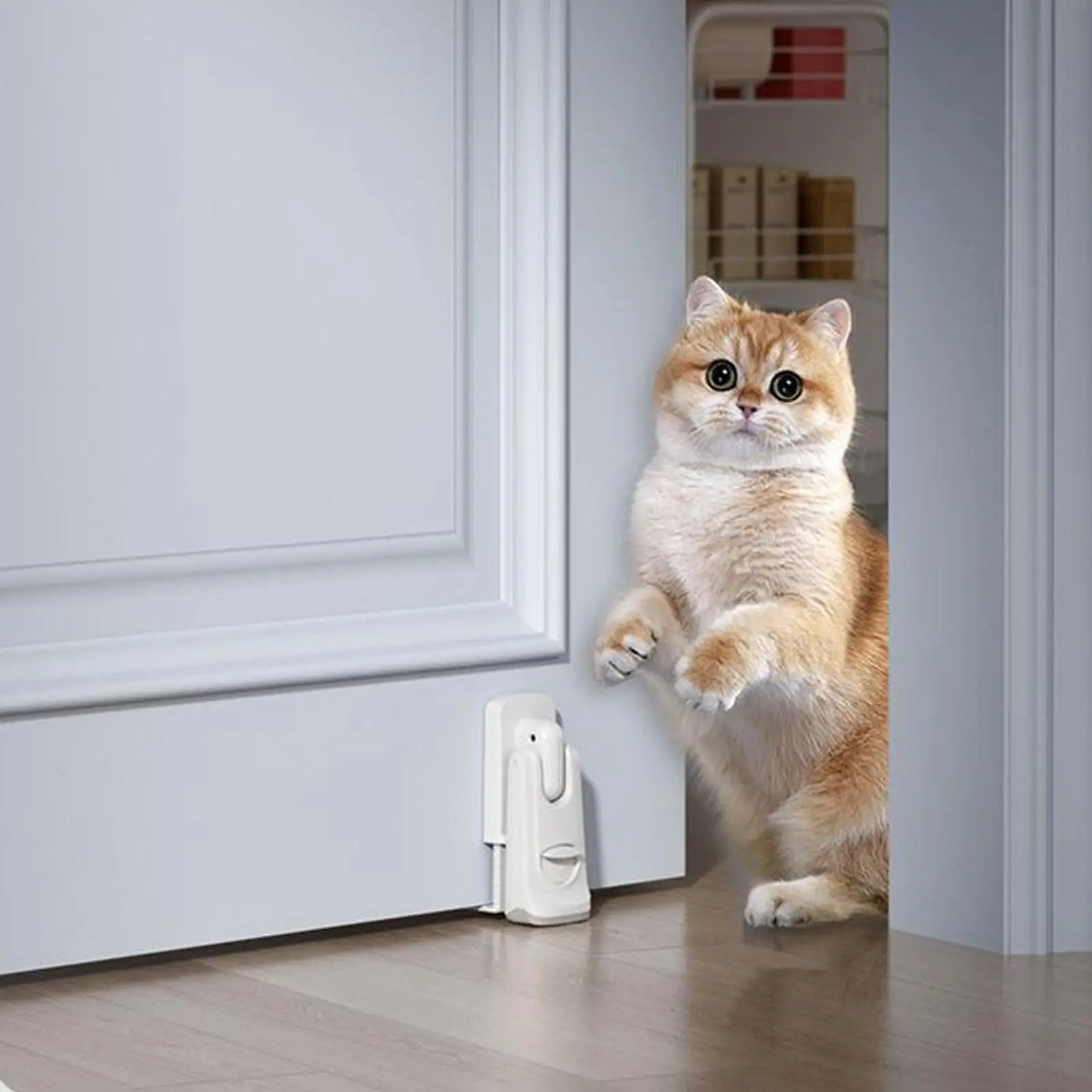 

Дверной стопор, регулируемый, простая установка, настенная защита для нижней части двери