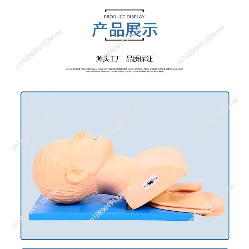 Human Body Adult Intubation Manikin Teaching Model 110-220V Electronic Airway Management Trainer Tracheal Intubation Model