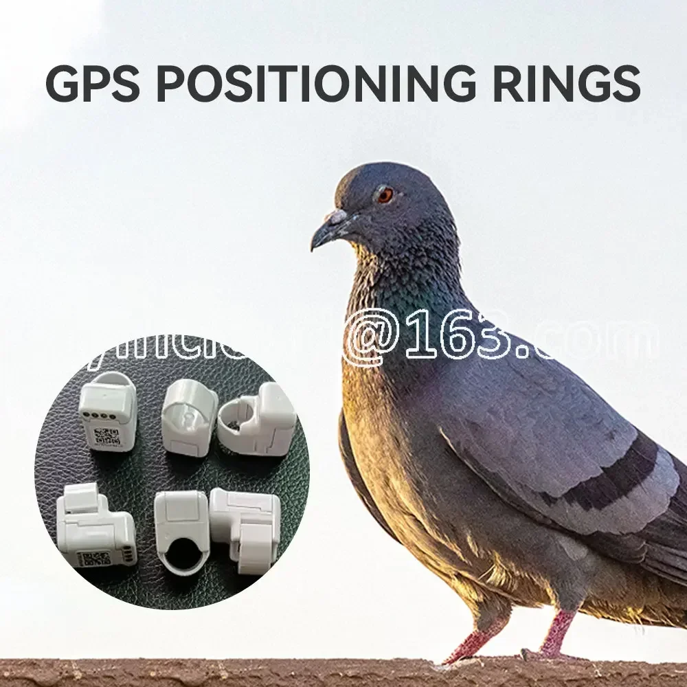 Imagem -03 - Gps Tracking Ring para Parrot Bird White Racing Pigeon Inner 10.8 mm Rastreador de Posição Devide 110mah 1pc