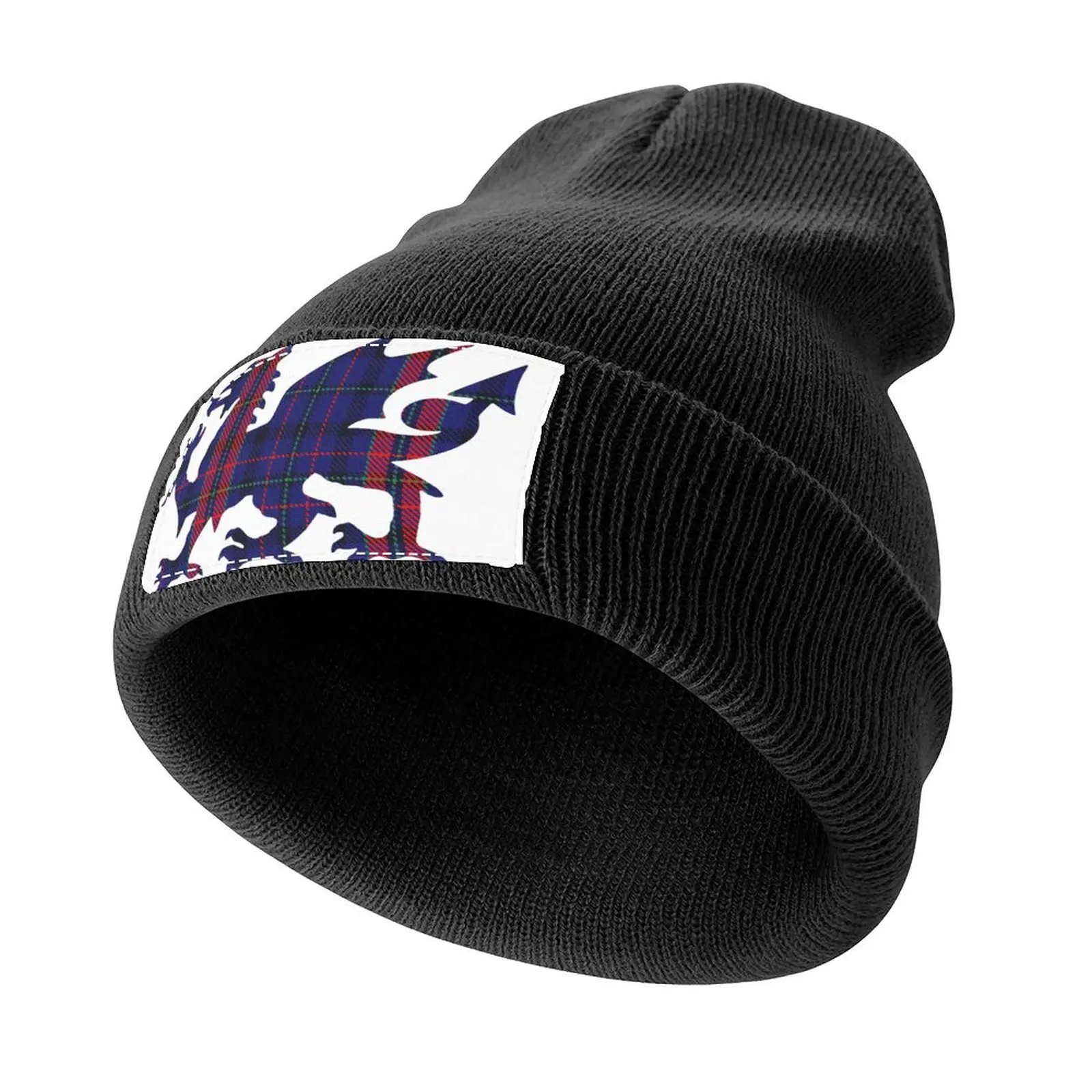 Hughes/Pugh Family Welsh Dragon Tartan Knitted Cap Golf Hat Luxury Hat Women Men's