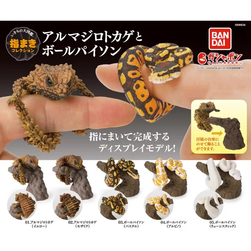 BANDAI Kawaii Gashapon Figure Biology Map Fingertip Animal Armadillo Ball Python Lizard Models Anime Figurine Capsule Toys