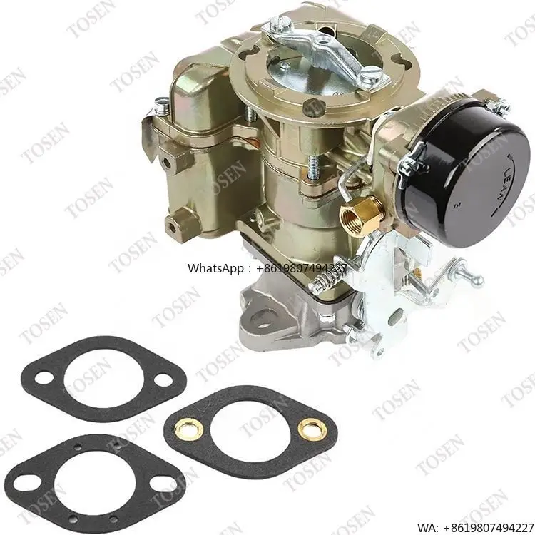 Carburador de Motor Tosen D5TZ9510AG para Motor 3y