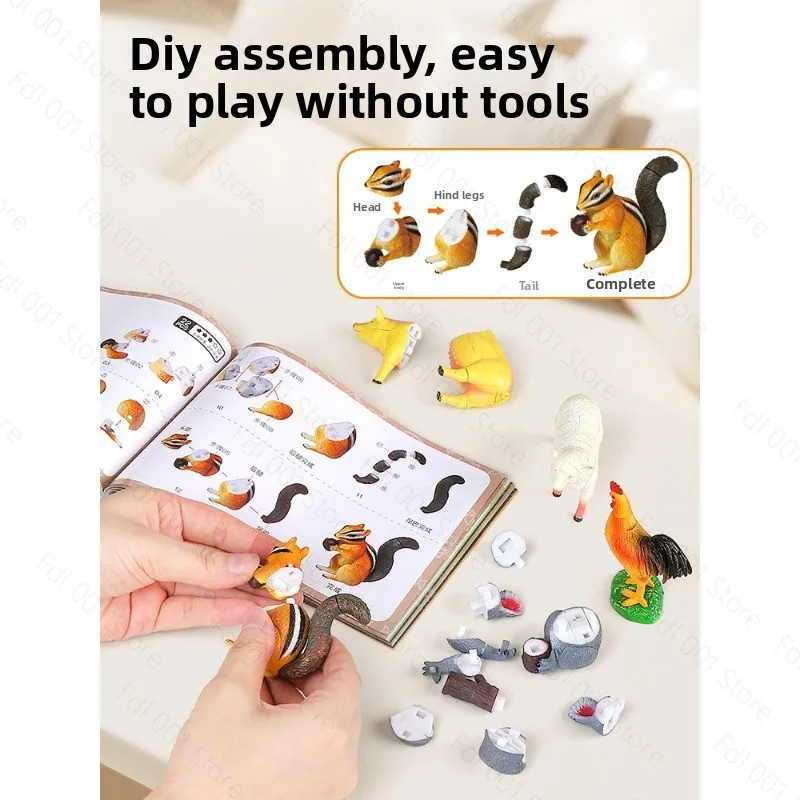 Insect assembly animal model science and education toys children's educational 4D assembly
