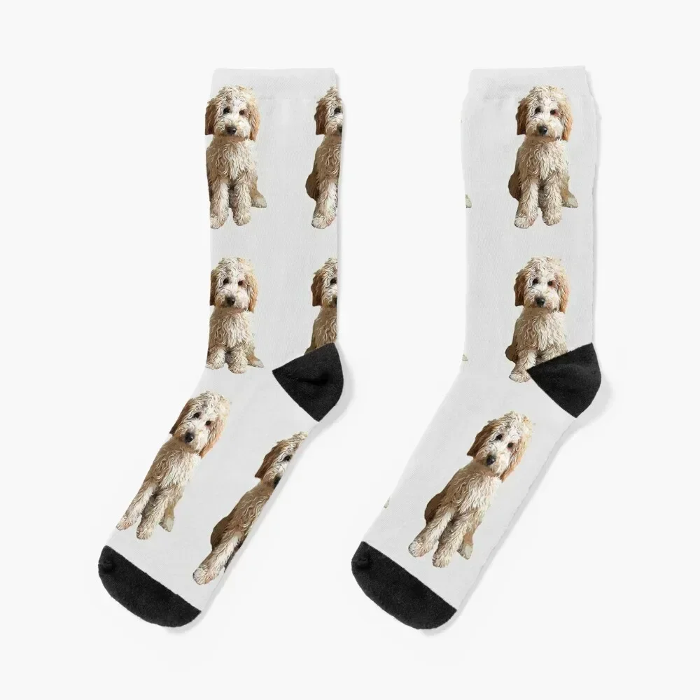 Labradoodle Cute Puppy Dog Calcetines medias navideñas deportes y ocio Calcetines masculinos Mujer