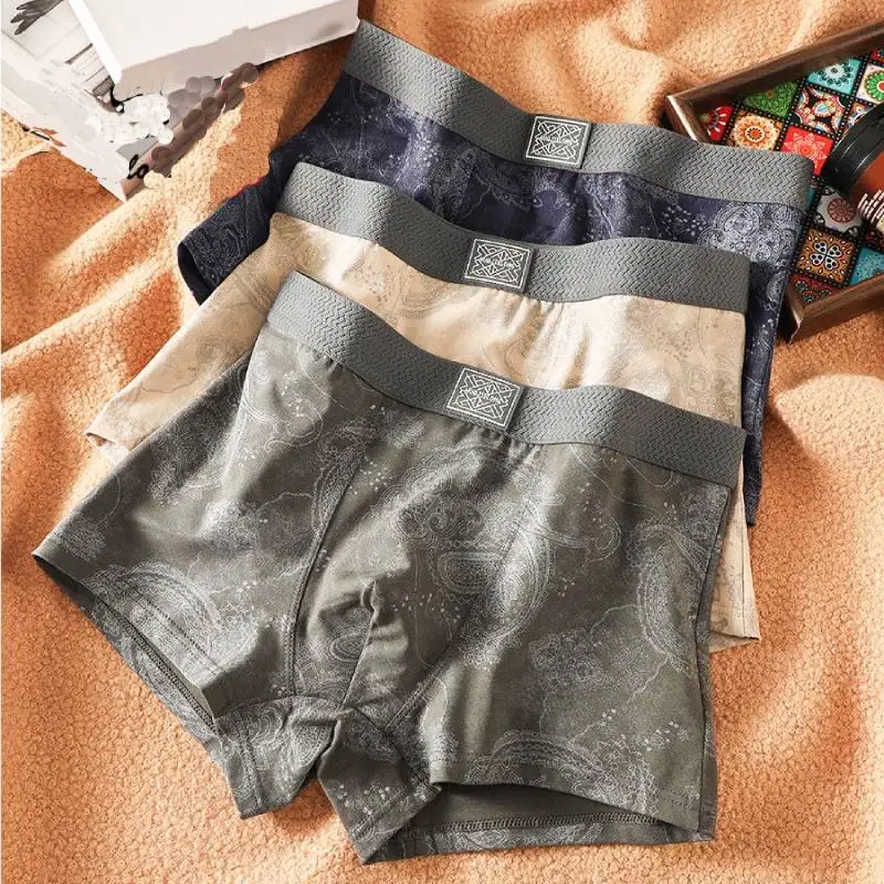 

3 шт. мужское нижнее белье с хлопковым принтом, дышащие сетчатые шорты-боксеры с промежностью, нижнее белье для мужчин, мужские трусы с высоким эластичным поясом