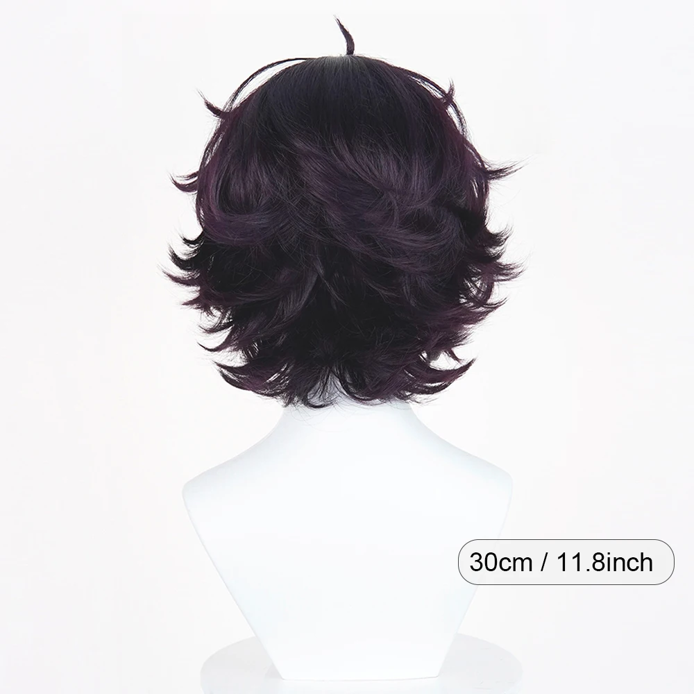 Black Purple Synthetic Short Straight Wigs with Bangs Anime Game Cosplay Heat Resistant Wig for Daily Party