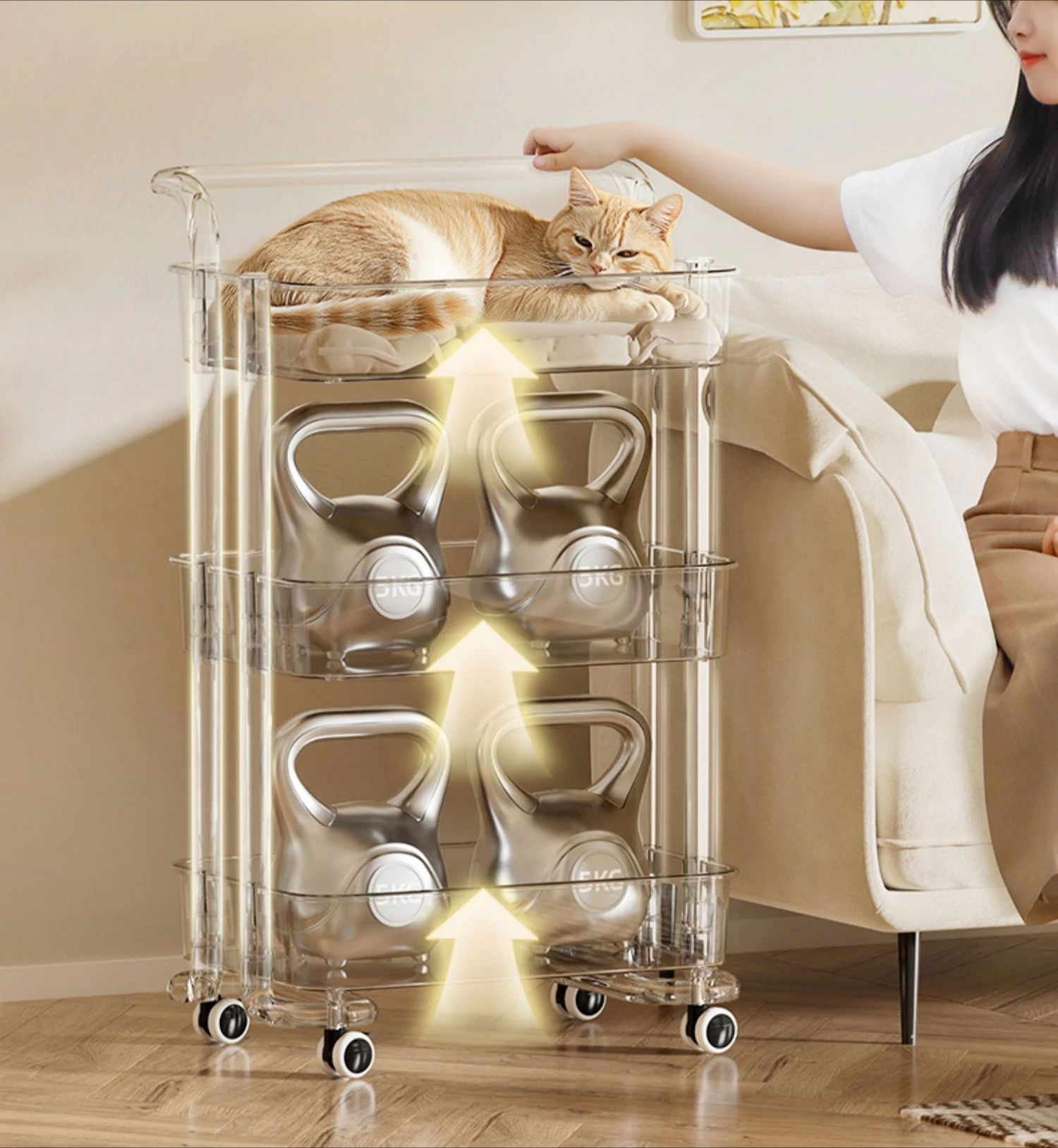 

Shelf cabinet Household removable transparent storage shelf