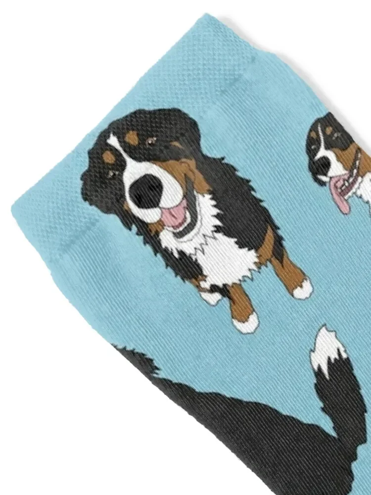 Bernese Mountain Dog Socks man summer Crossfit ankle Woman Socks Men's