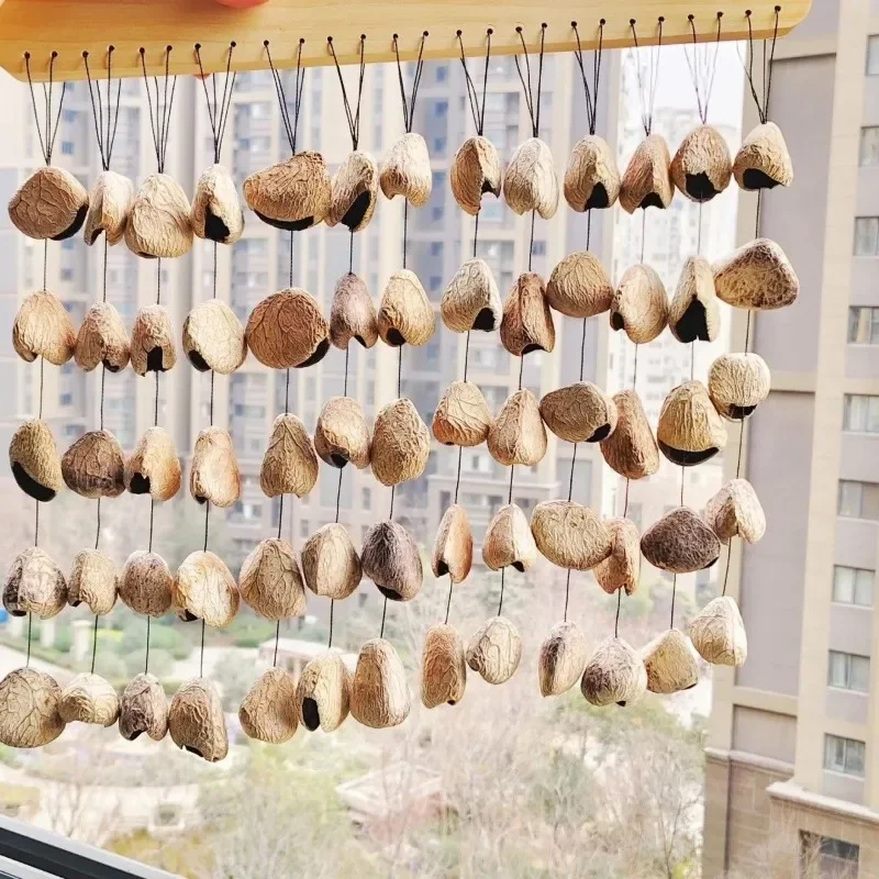 Natural Fruit Shells Wind Chime Handmade Outdoor Decorative Wind Chimes Meditation Sound Healing Professional Musical Instrument