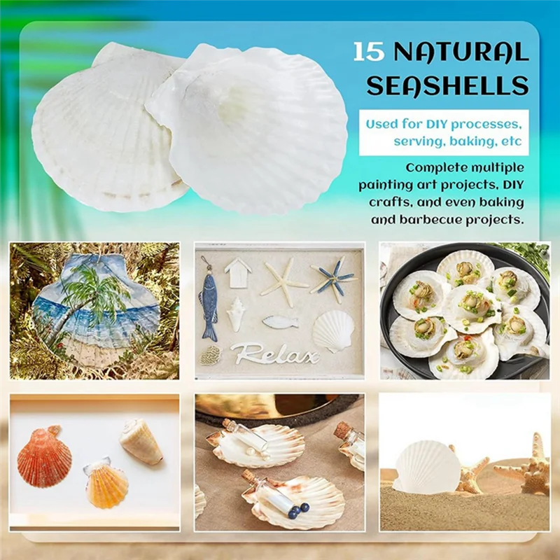 15 PCS Natural Sea Shell Large White, 4-4.7 Inch Scallop Shells for DIY Craft, Serving Food, Baking and More