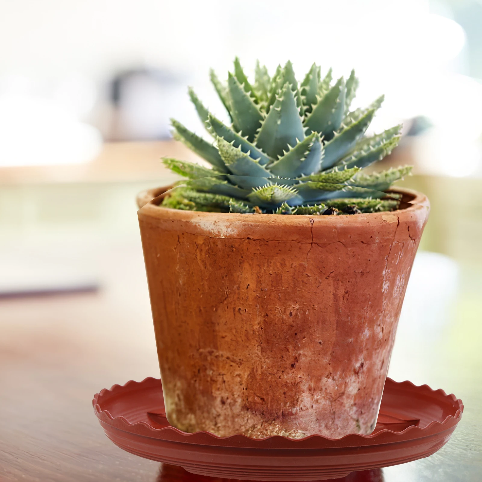 

20 Pcs Water Tray Flower Pot Bottom Pad Drainage for Indoor Plants Drip Trays Potted Catch