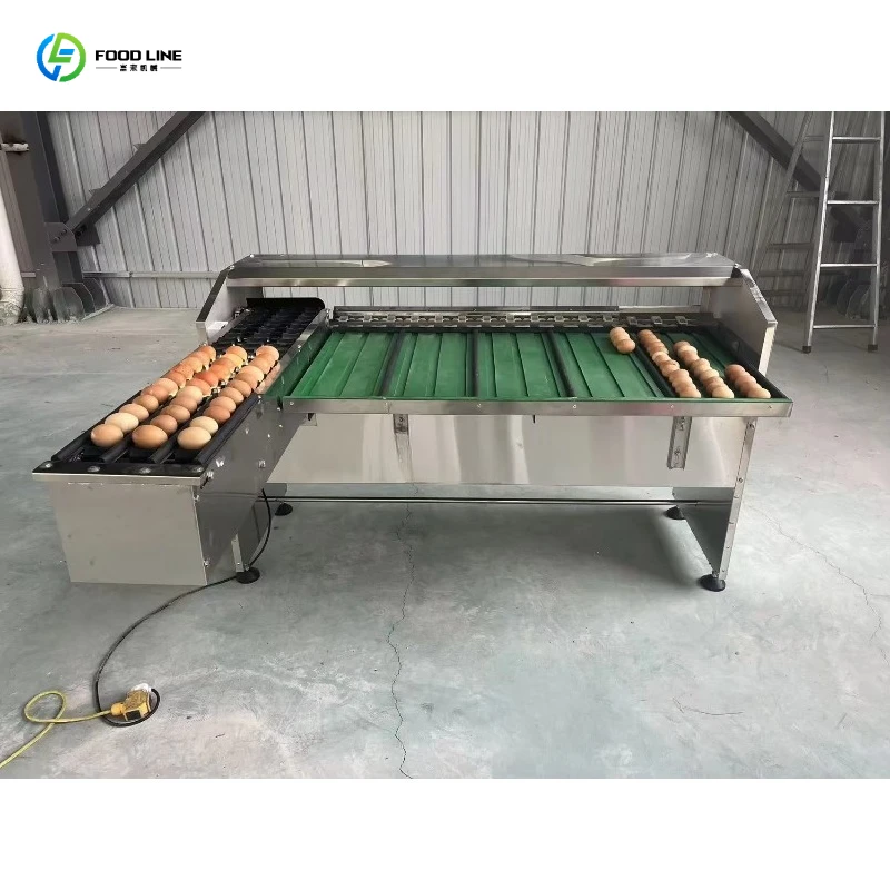 Food Grade Automatic Egg Grading Digital Scale 2000 Eggs/H Sorter Chicken Duck Grader Customized for Small Poultry Farm
