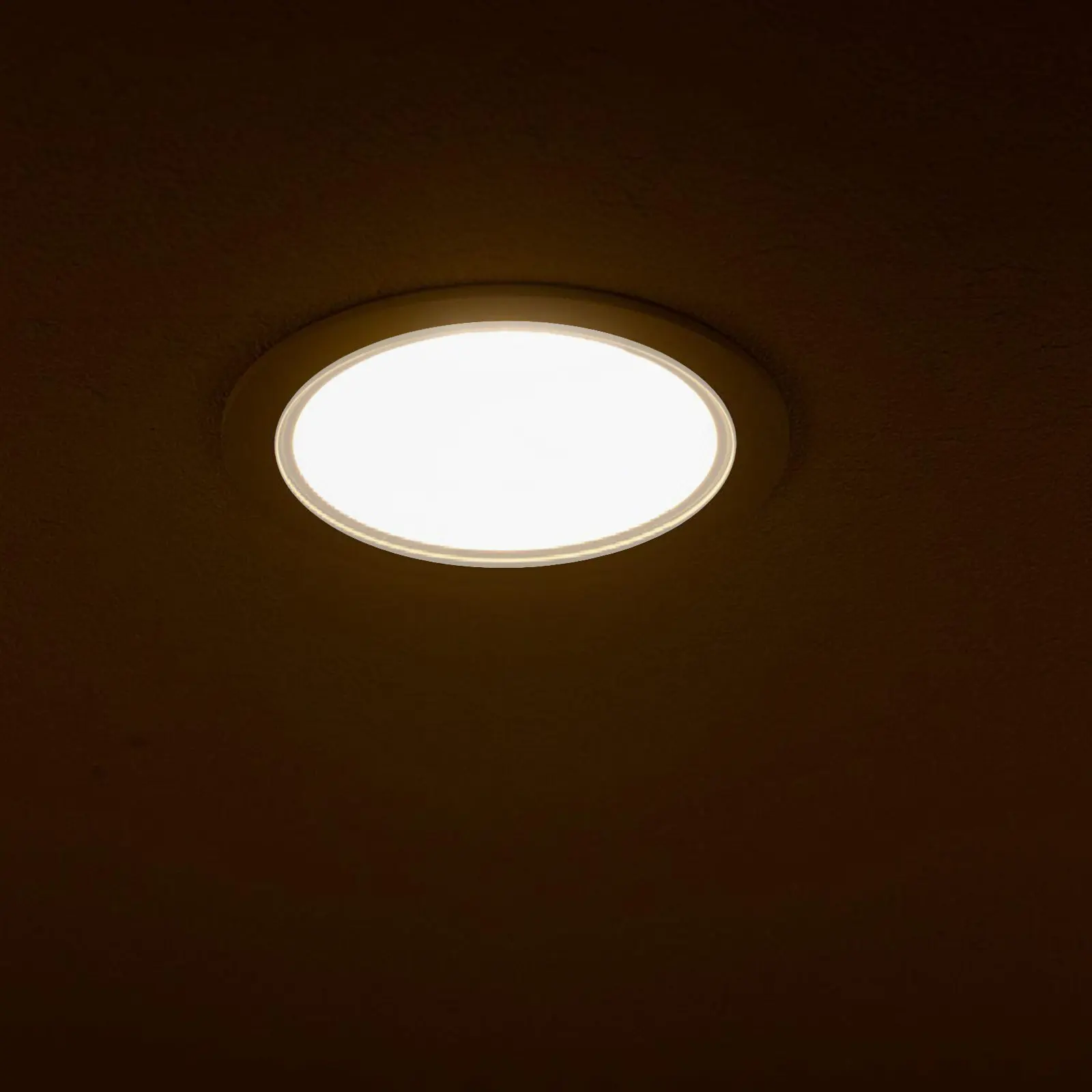 Ceiling Light Cover Lampshade Replacement Halloween Christmas Ceiling Light Diffuser Shade Light Diffusing Panel 4PCS