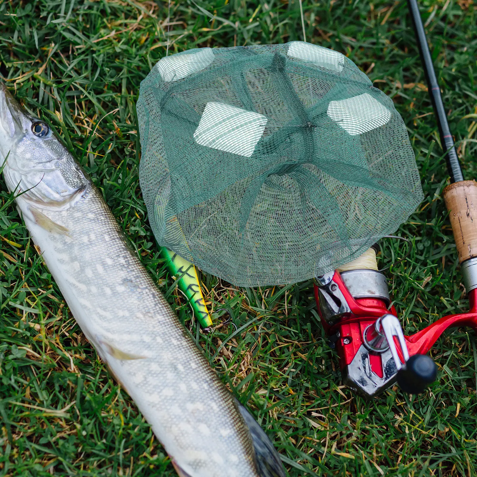 

2 шт. портативные рыболовные ловушки-клетки для угрей и пескожилов, многоразовые сетчатые ловушки для мелких рыб, крабов, креветок в соленой и пресной воде