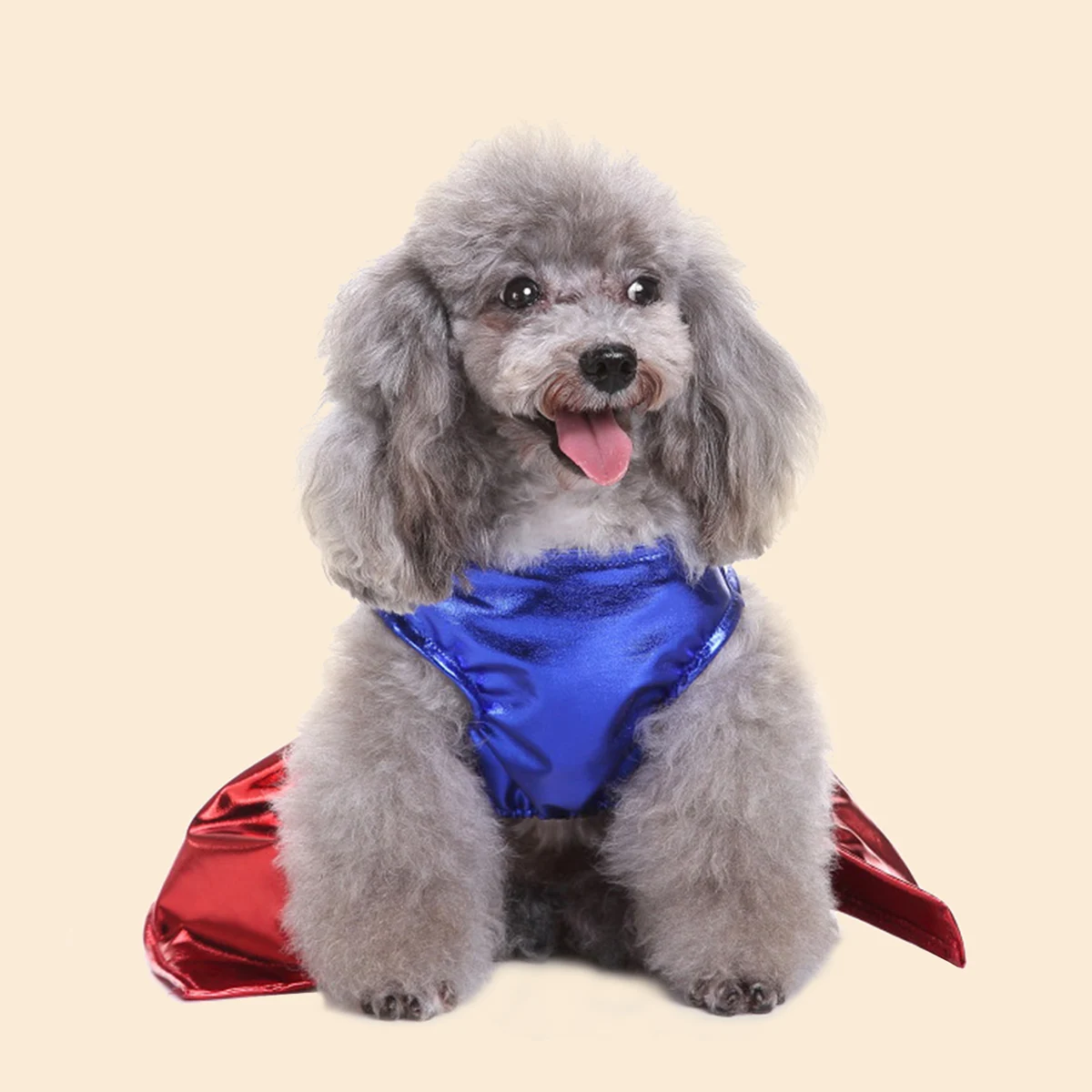 Outfits Halloween Pet Dress-Up Cosplay Clothes for Small Medium Dogs