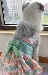 Dog Chest Back Skirt Shirt, Cute Pet Clothes, Cute Sweet Skirt, Suspender Skirt