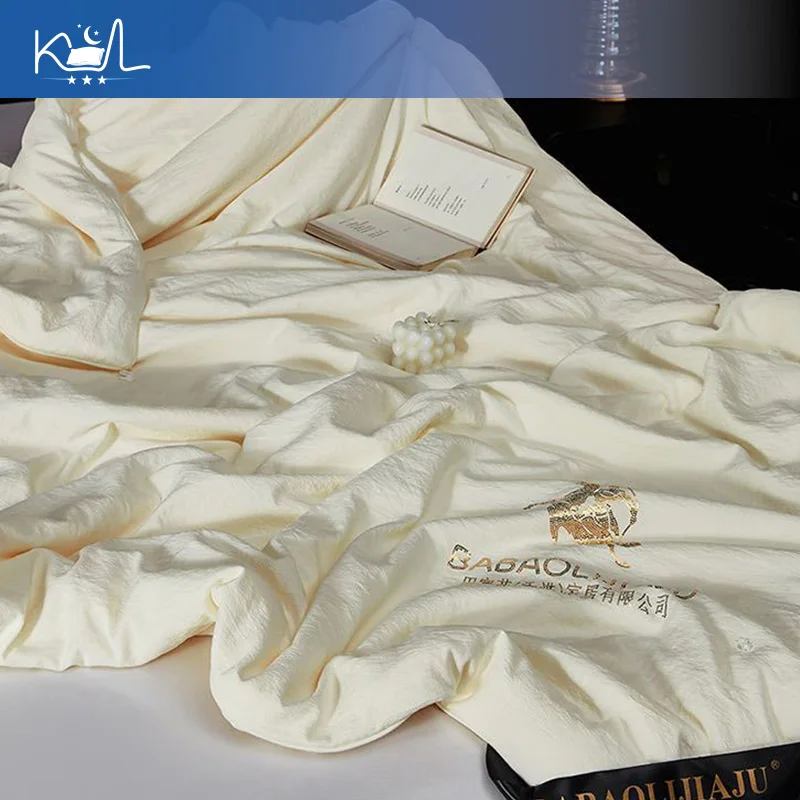 100% Mulberry Silk Winter Comforter, Thick Warm Duvet Insert for All Seasons, Lightweight Quilt for Student Dormitory