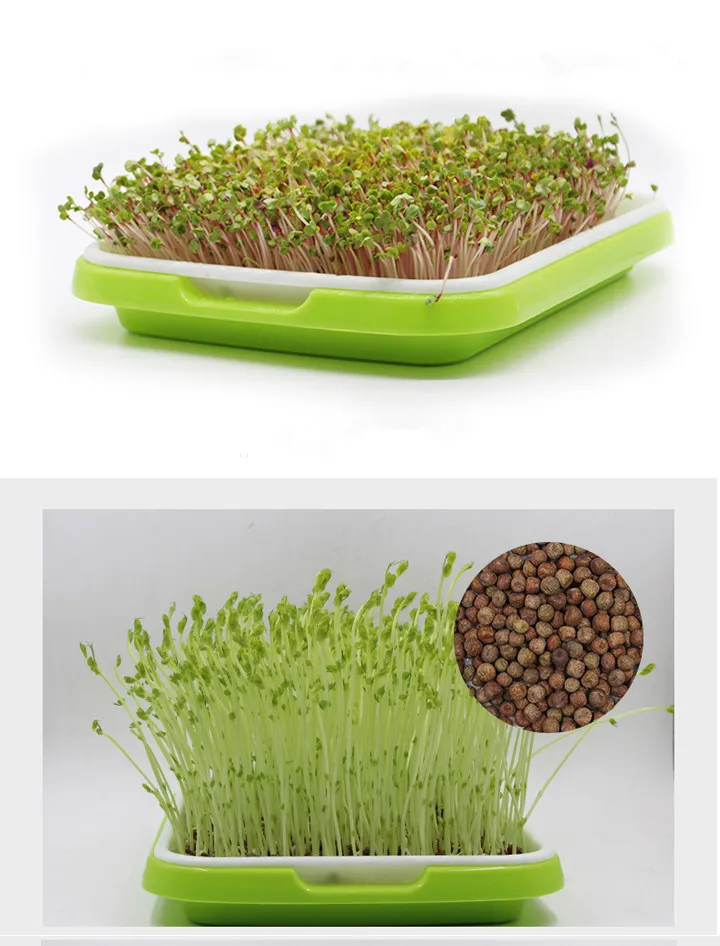 Bandejas de semeadura de berçário de cultivo de plantas para hidroponia