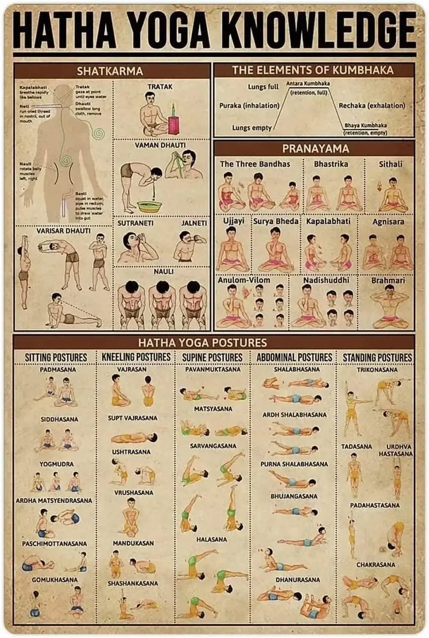 Hatha Yoga Knowledge Metal Tin Signs Hatha Yoga Infographics Reading Posters Yoga Beginner's Guide Retro Knowledge Aluminum
