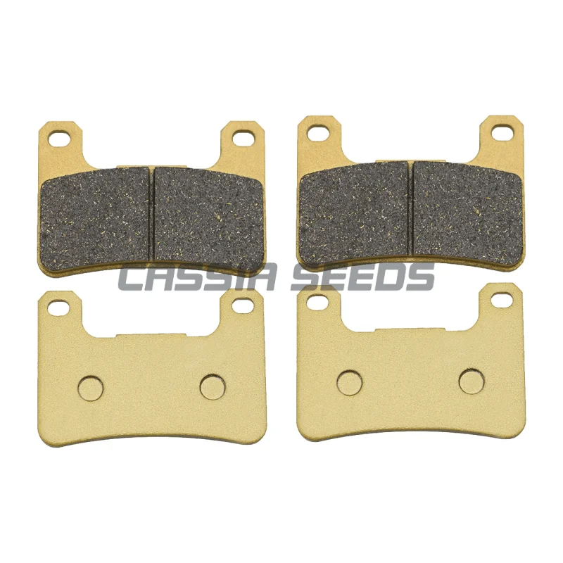 Motorcycle front and rear brake pads are used for BMW Waterfowl 1250 R1250GS R1250R R1250RT 2019-2021