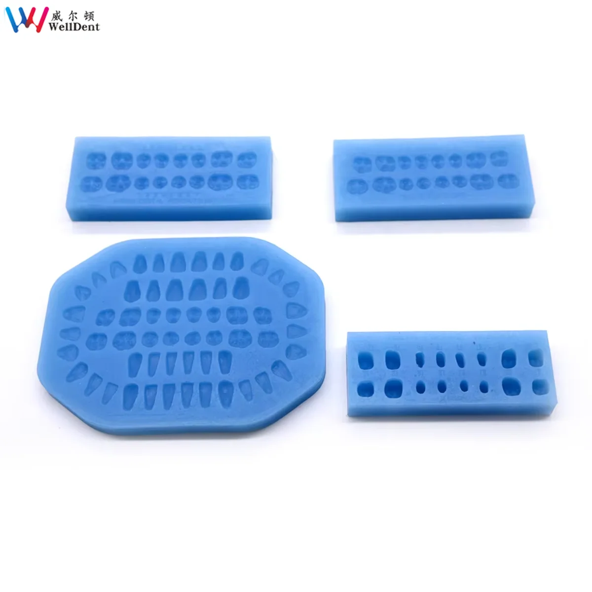Dental Professional Silicone Lab Maxill of Facial Formwork Teeth Former Mould