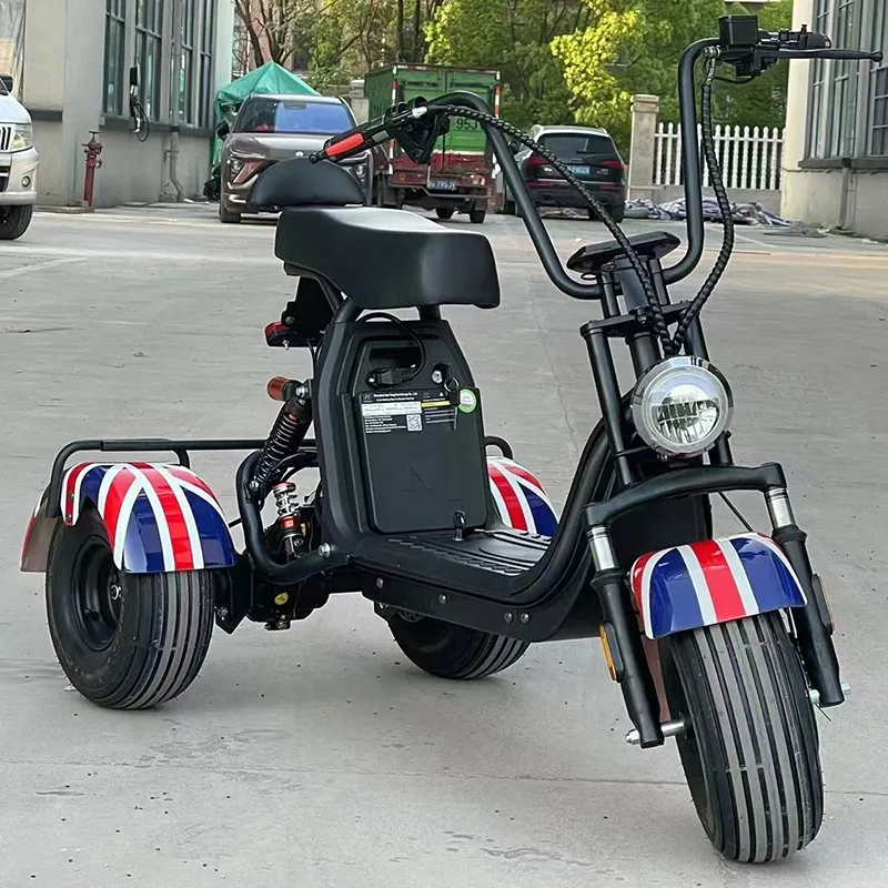 

Electric tricycle Detachable battery car, three-wheeled motorcycle