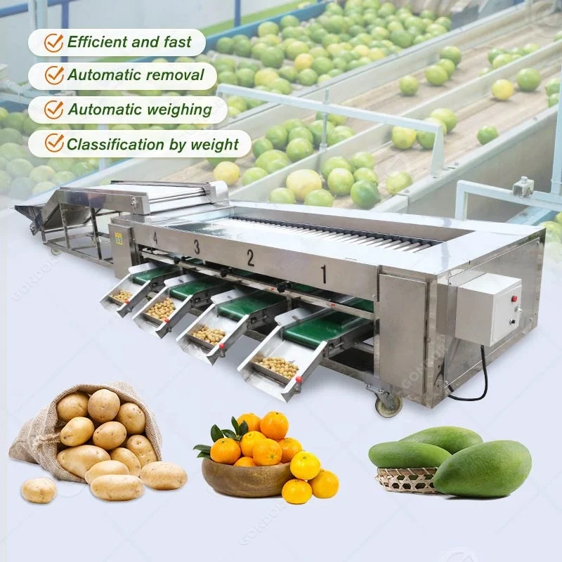 الإلكترونية الأناناس الثوم الجزرة الفاكهة فرز الصف الصف فارز غسل وآلة الصبح للخط #6