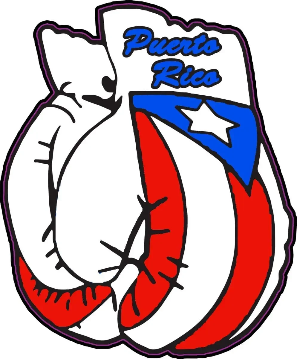 

Puerto Rican Flag Boxing Gloves Vinyl Decal - Bumper Sticker - Proud Puerto Rico Gift