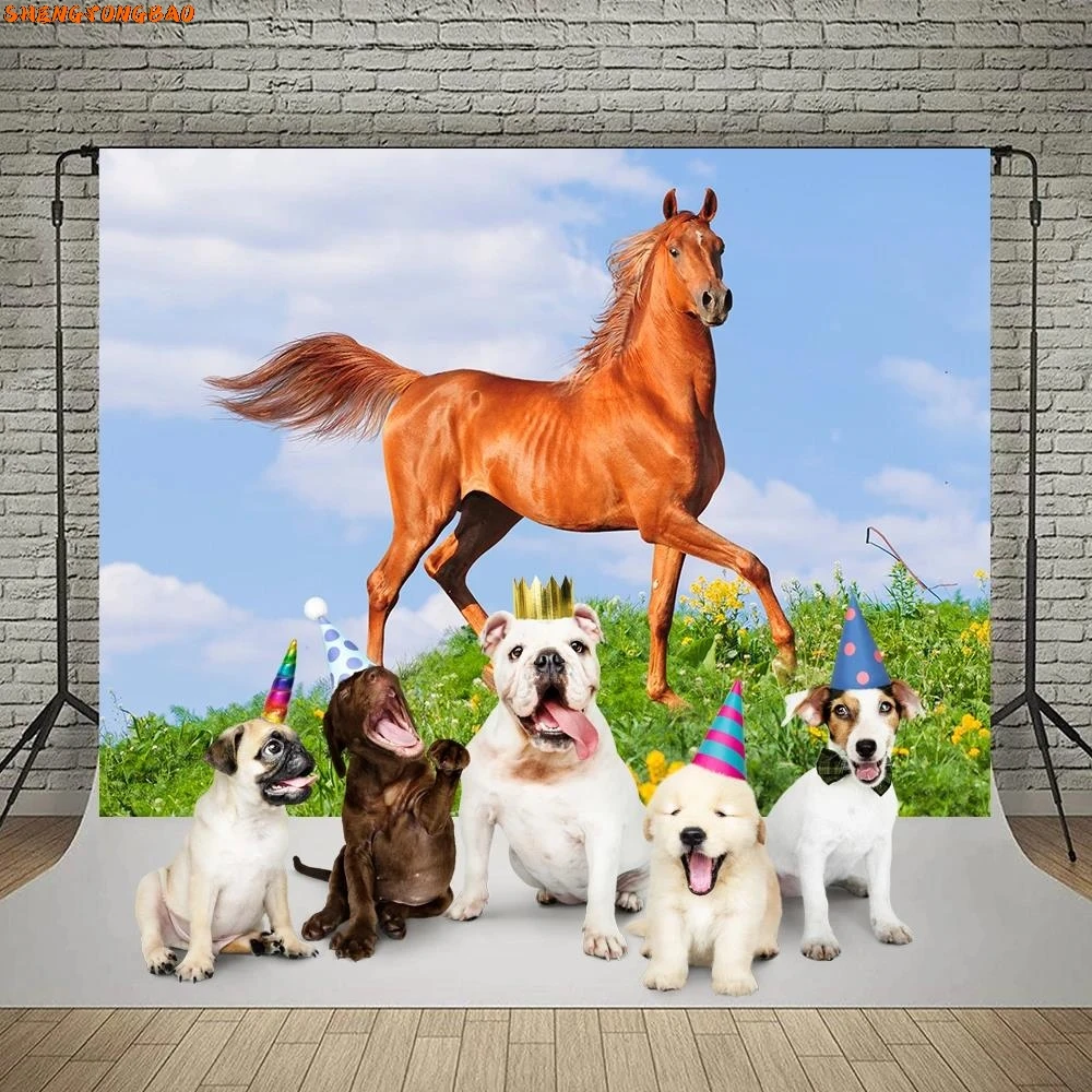 خلفية التصوير الفوتوغرافي المراعي السماء الزرقاء غائم تشغيل الحصان الأطفال التصوير الفوتوغرافي خلفية فوتوزون لاستوديو الصور