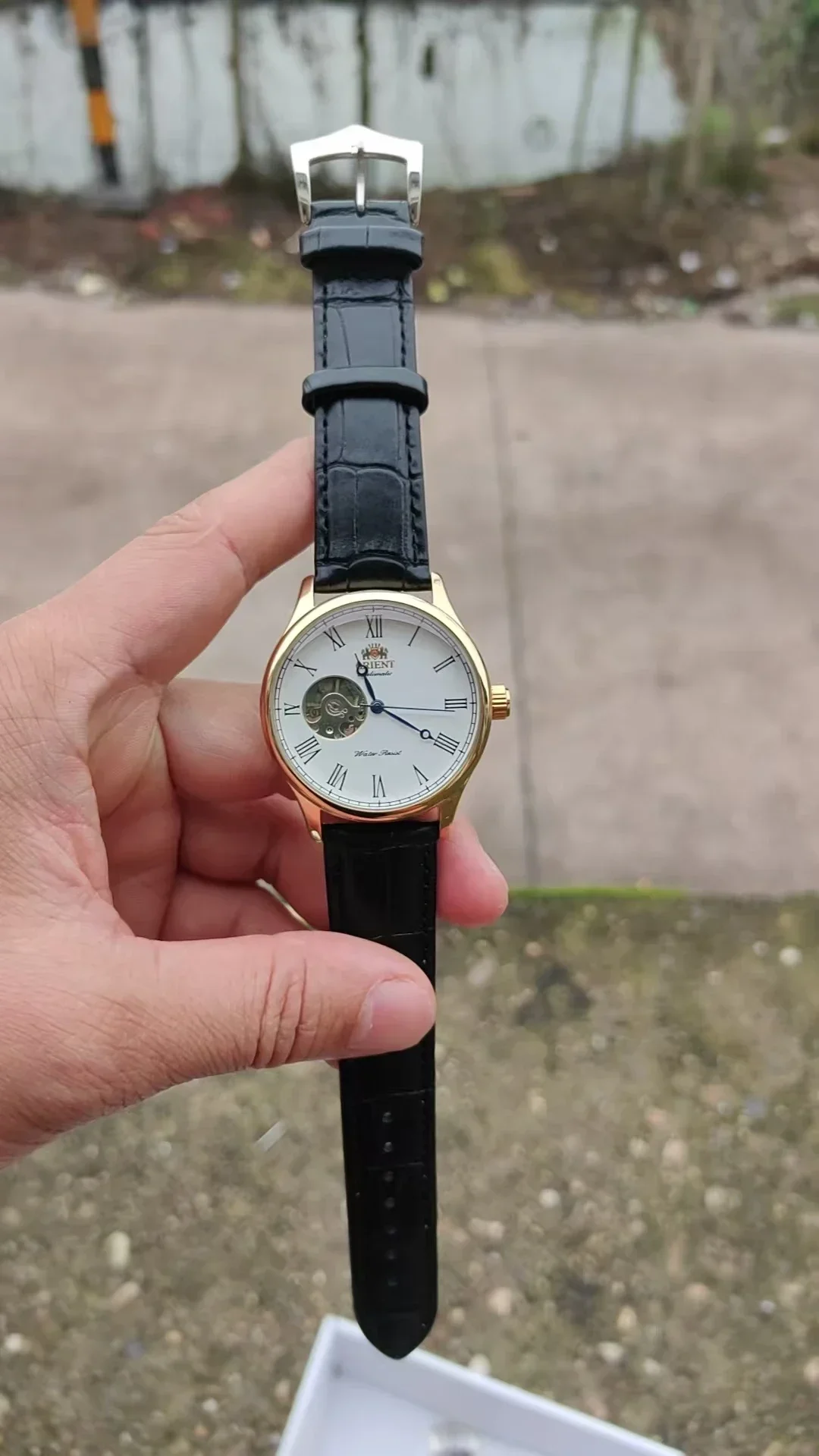 DFDG Mechanical Skeleton Watch with Full Functions, World Time, Minimalist Orient Style view 5