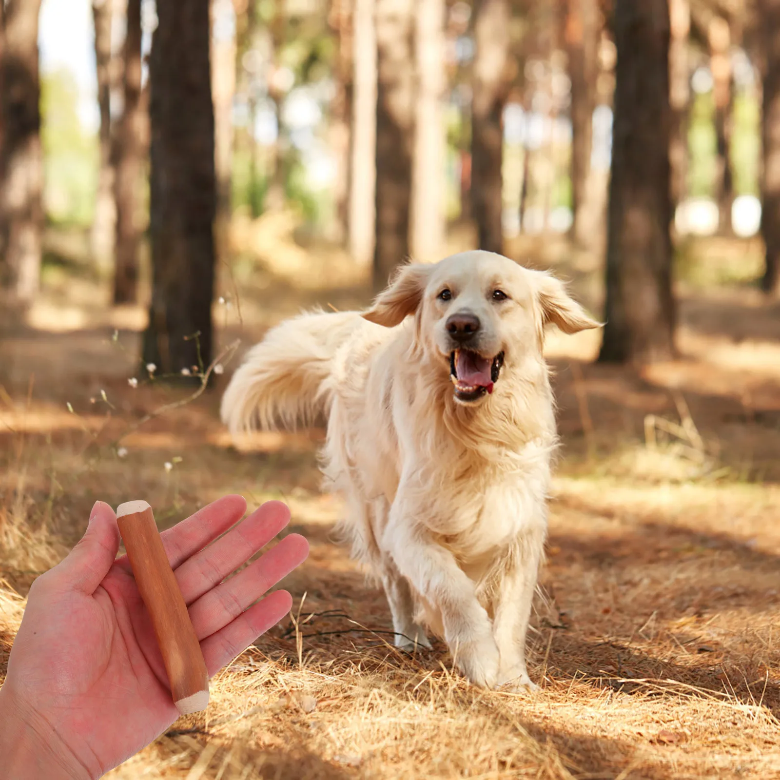 

Natural Coffee Wood Sticks Durable Wooden For Puppies Teething Safe Long-Lasting Dog Treat Stick Training For Small Dogs \ **→