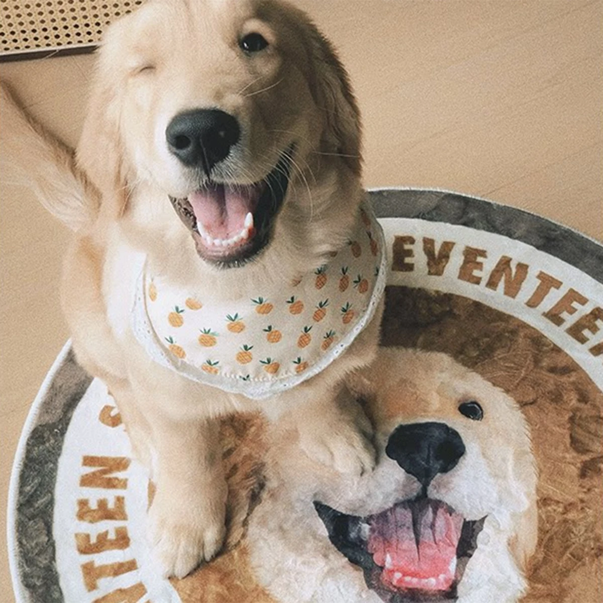 Custom Pet Portrait Carpet Round Rug Faux Cashmere Machine Washable Floor Mats Creative Design Living Room Bedroom Rugs Decorate