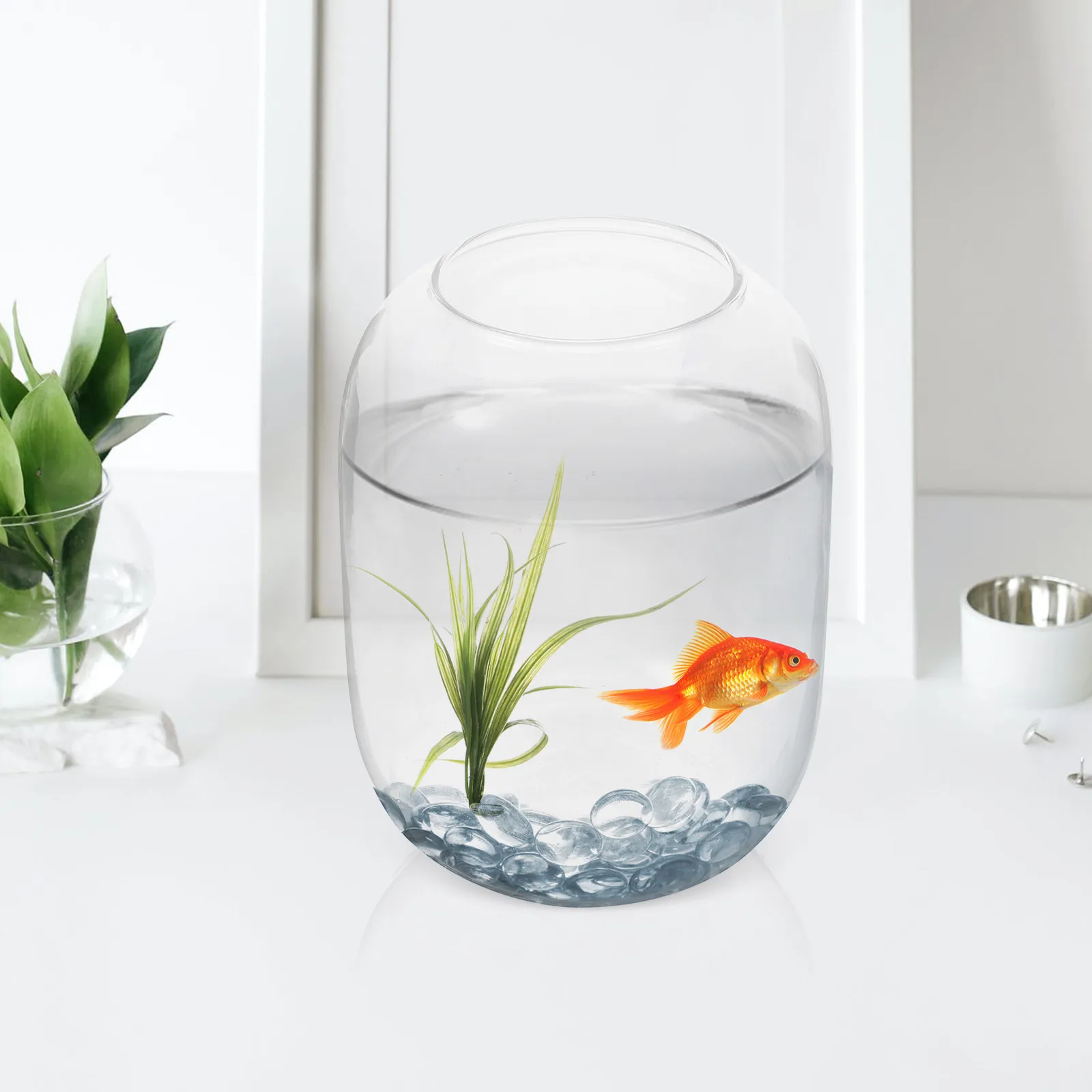 

Большая стеклянная бутылка для растений, прозрачная гидропонная ваза для дома и офиса, мини-террариум, настольный декор, бутылка для размножения растений