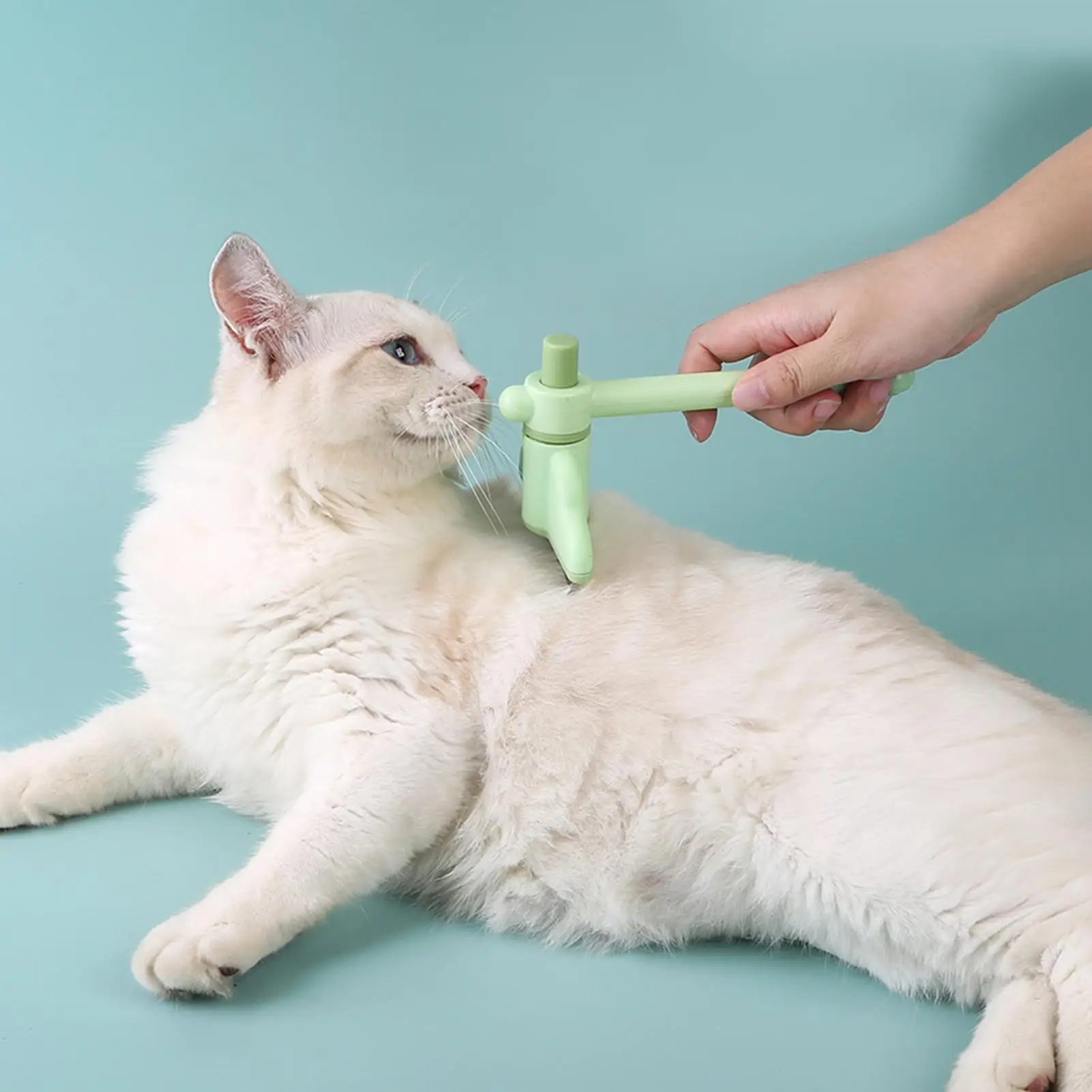 Haustier-Haarentfernungskamm, sanft, bequem, rutschfest, leicht, Bürste, Hundehaarbürste, Schönheitsreinigungsmittel, Katze und Hund, universell