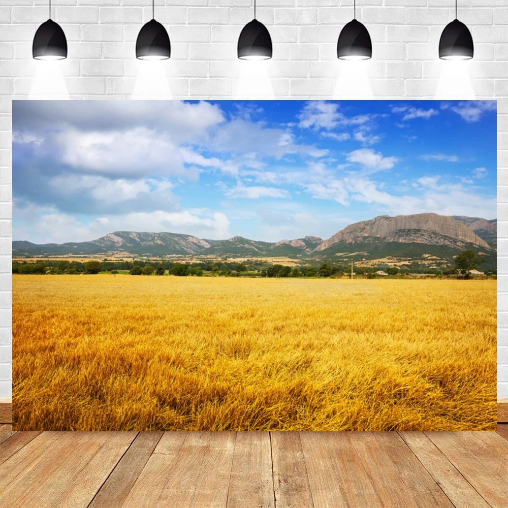 Yeele Fall Sunshine Wheat Field Baby Shower Backdrop Autumn Farm Maple Pumpkin Background Photography Photo Studio Photophone