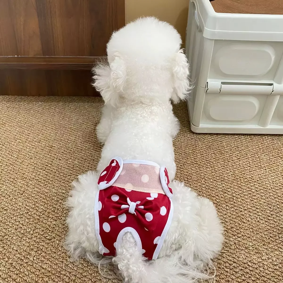Female Dog Physiological Pants, Washable Anti-Harassment Pet Heat Underwear, Menstrual Diapers for Small Dogs Teddy Bichon