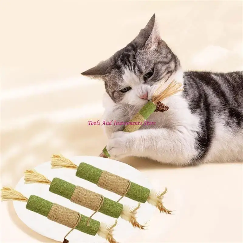 Mèo Catmint mọc răng Mèo Mèo Đồ chơi Răng sạch liếm liếm đồ chơi Mèo Mèo Mèo Catmint Đồ chơi C7AC