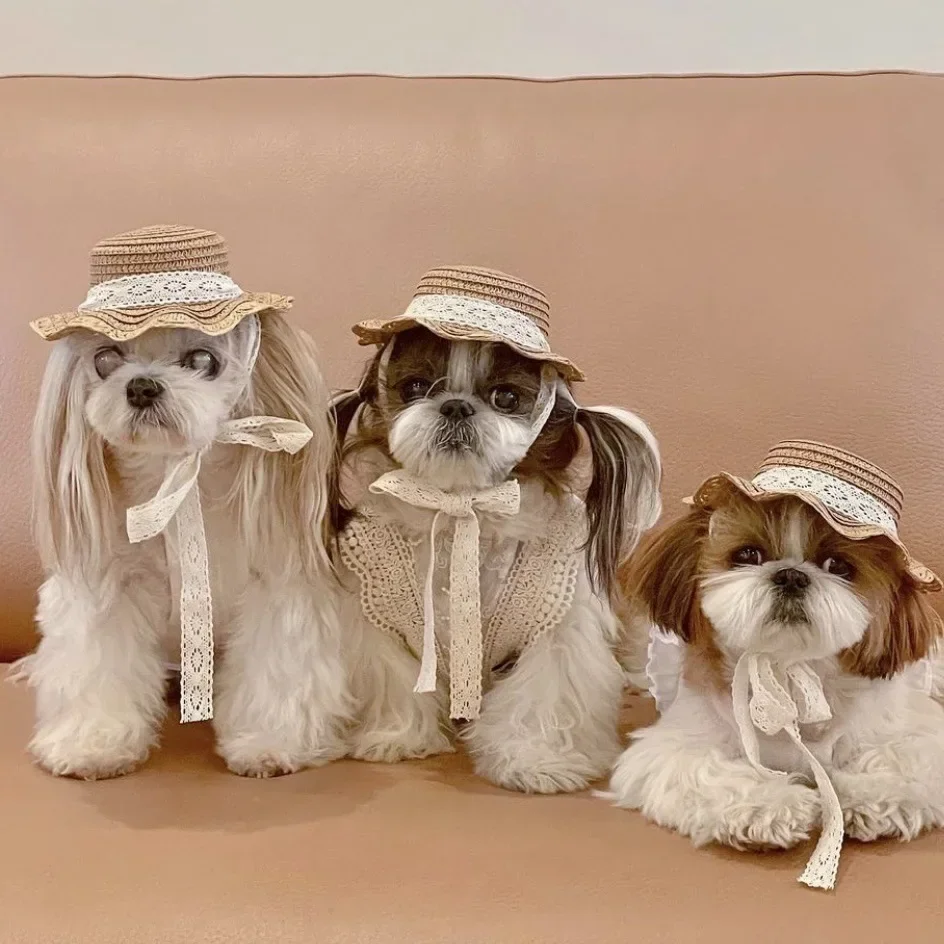 Dog Hat Summer Shade Pet Dog Straw Hat for Small Dog Sun Hat Teddy Bichon Photo Decoration Headdress Puppy Accessories