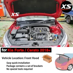 Hood Struts For Kia Forte Cerato BD 2018-2024 Kia K3 Front Bonnet Modify Lift Support Shock Springs Carbon Fiber Damper Prop Rod