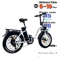 EU Stock DRVETION CT20 750W Off Road High Speed Mountain Electric Dirt Bike  Tire All Terrain Electrical City Bicycle ebike