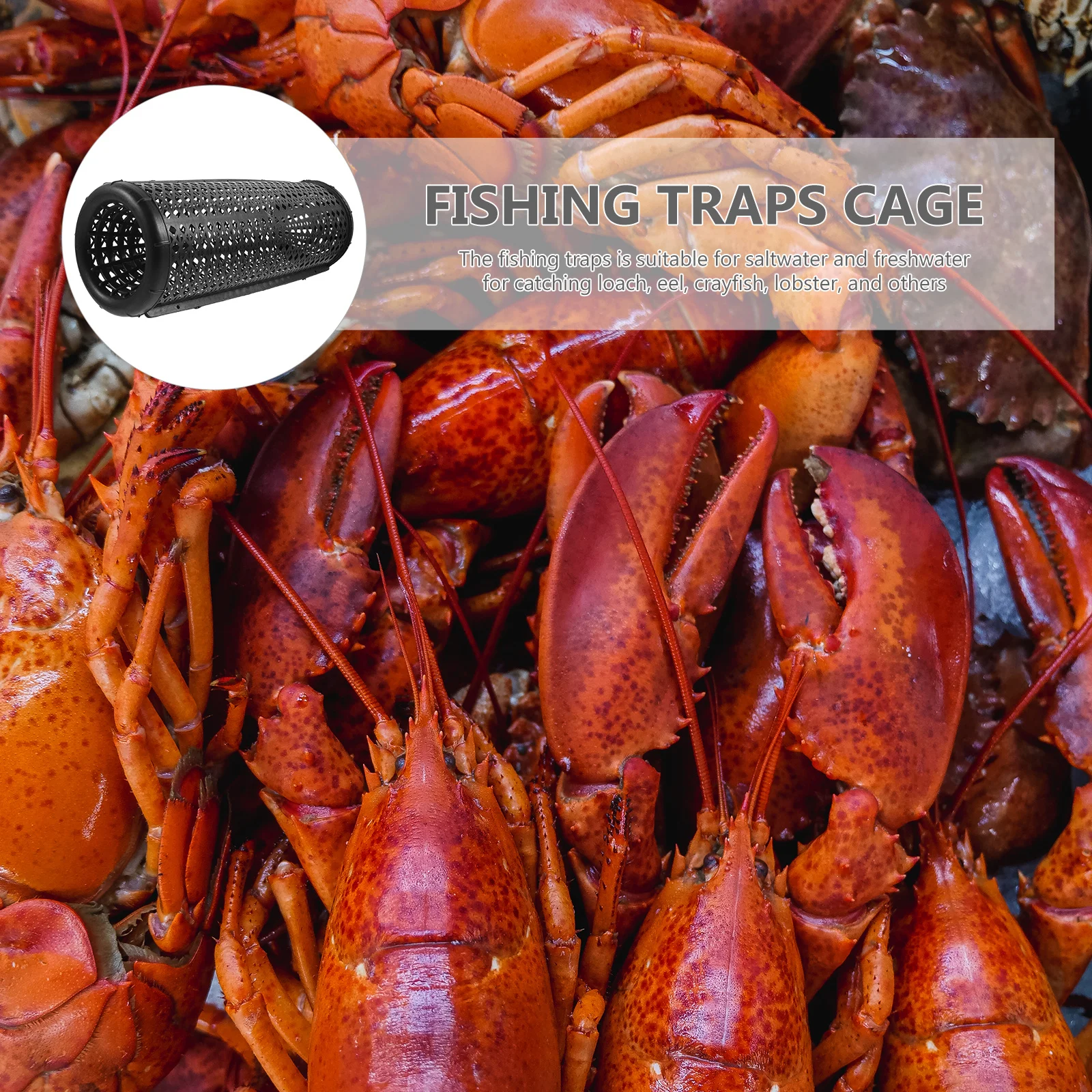 

Large Fishing Cage Trap For Eel Loach Crawfish Reusable Portable Saltwater Freshwater Minnow Crab Shrimp Netting