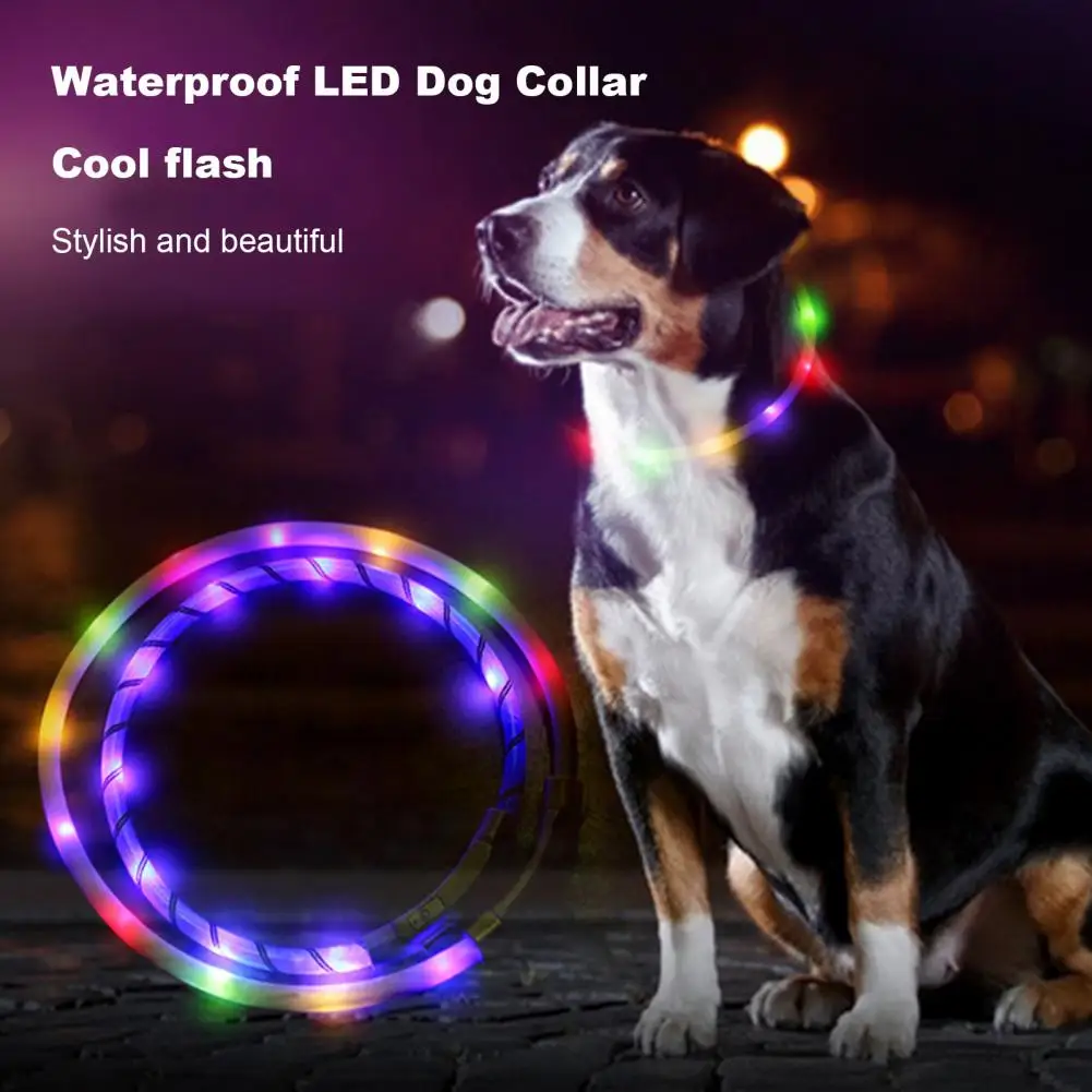 LED Dog Collar,USB Rechargeable,Light Up,Pet Collar for Night Walking,Adjustable Glitter Collars,for Small Medium Large Dogs