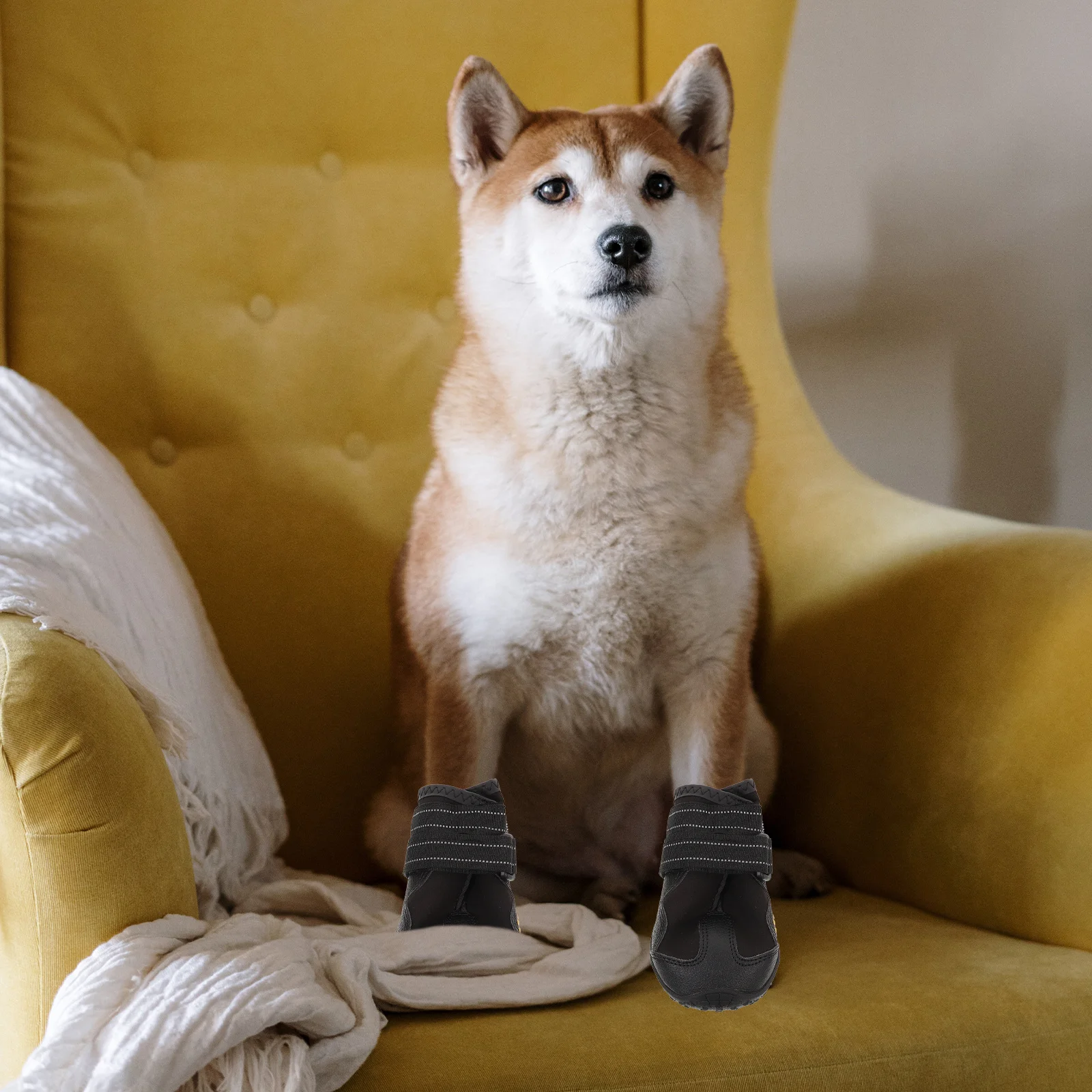 

4Pcs Waterproof Pet Dog Anti-Slip Snow Boots Warm Casual Puppy Shoes Size 6 Black Outdoor Walking Running Hiking