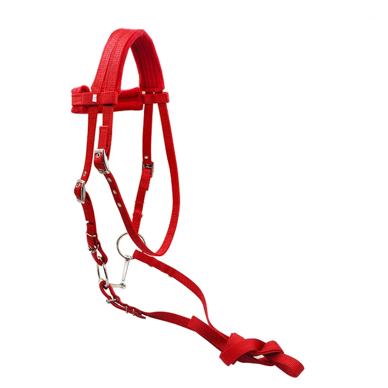 

Horse Bridle Reins Horse Accessories Horse Product Equestrian Equip
