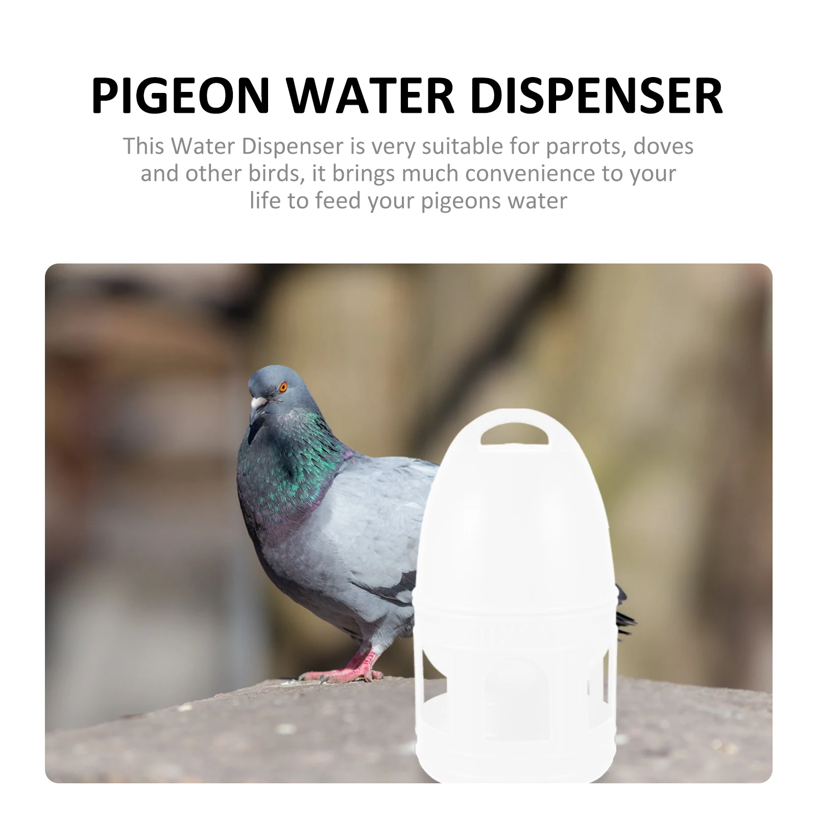 

2PCS Pigeon Water Dispenser Plastic Bird Feeder Drinking Fountain Removable Sturdy Design for Parrots Pet Shop
