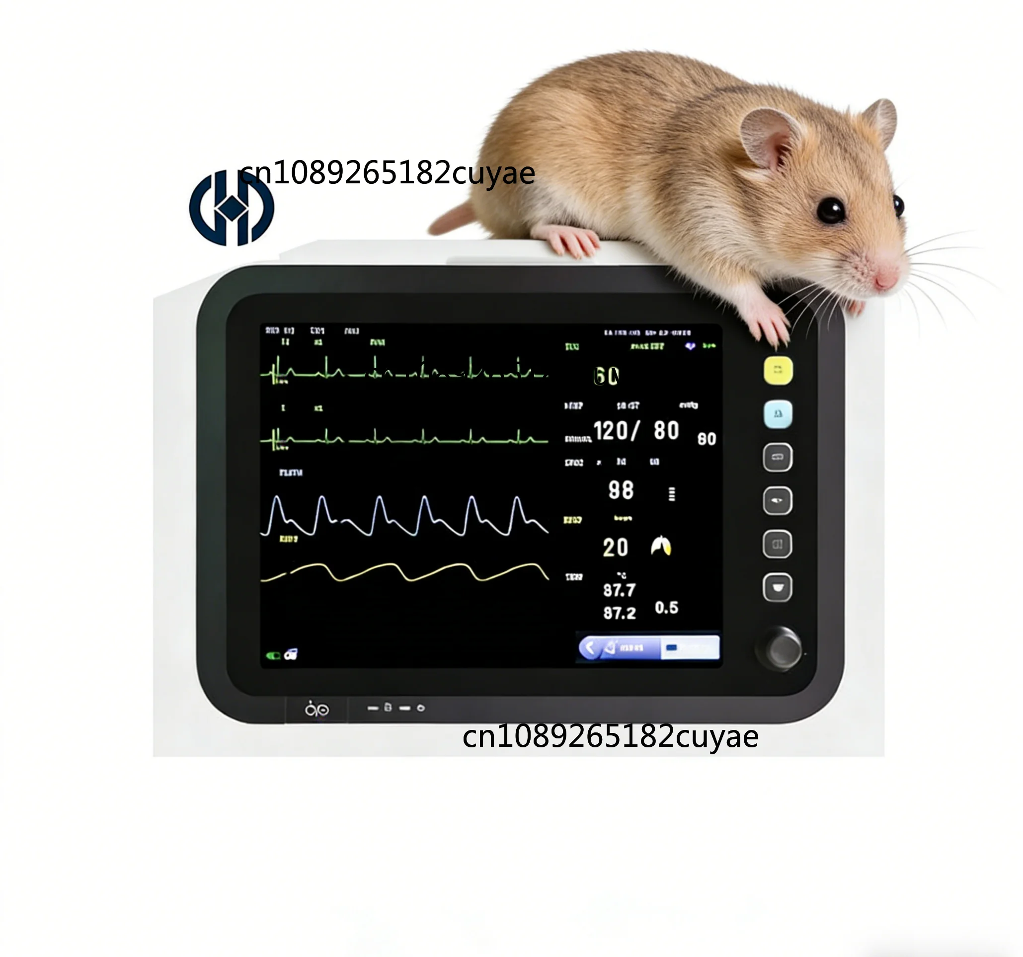 Veterinary Patient  Monitor with Easy-to-Use Interface CE Certified Class II Medical Device with Built-In Battery