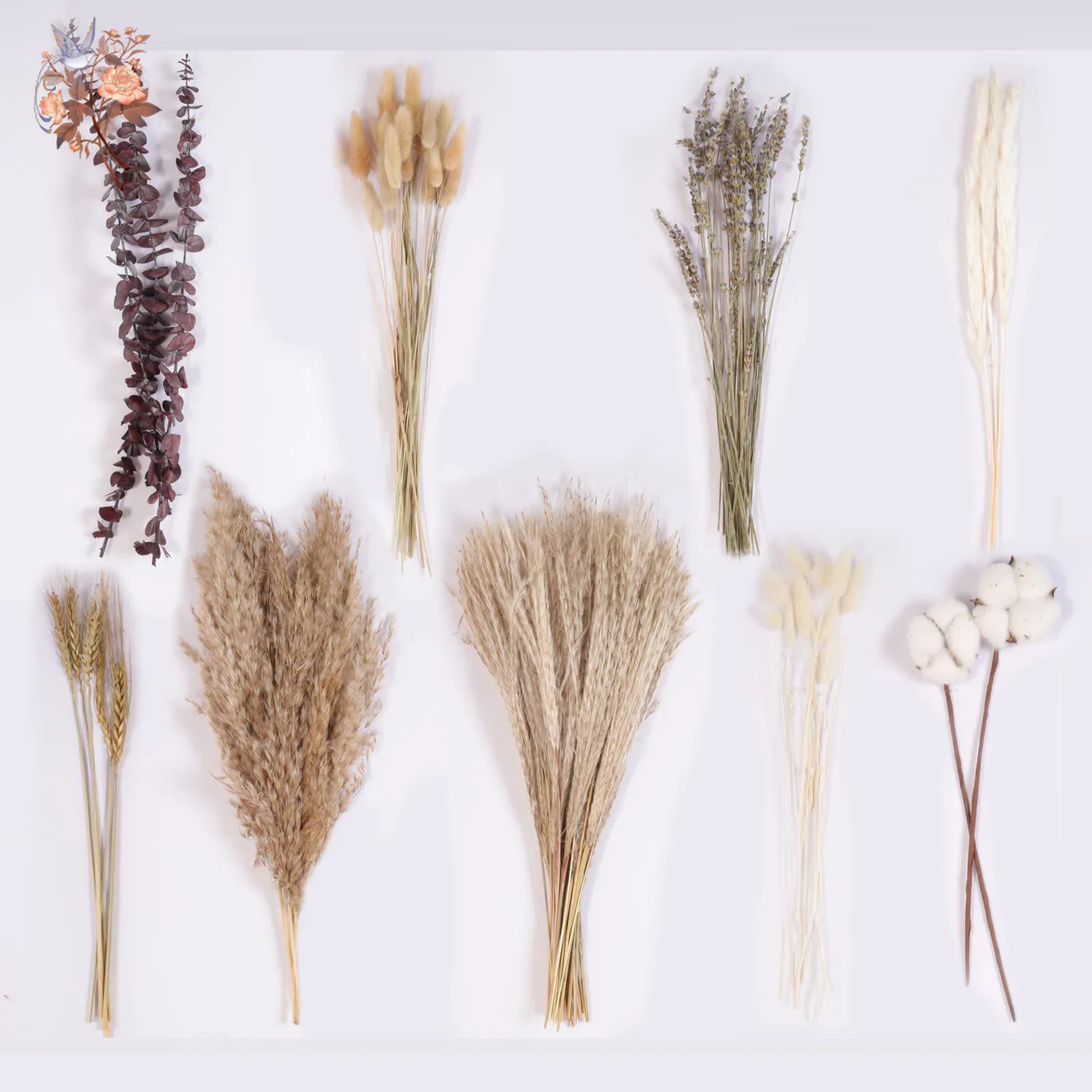 80 قطعة رأس القطن المجفف الطبيعي Pampas العشب بوهو ديكورات المنزل باقة الزهور فراغميتس لترتيبات زهور الزفاف #2