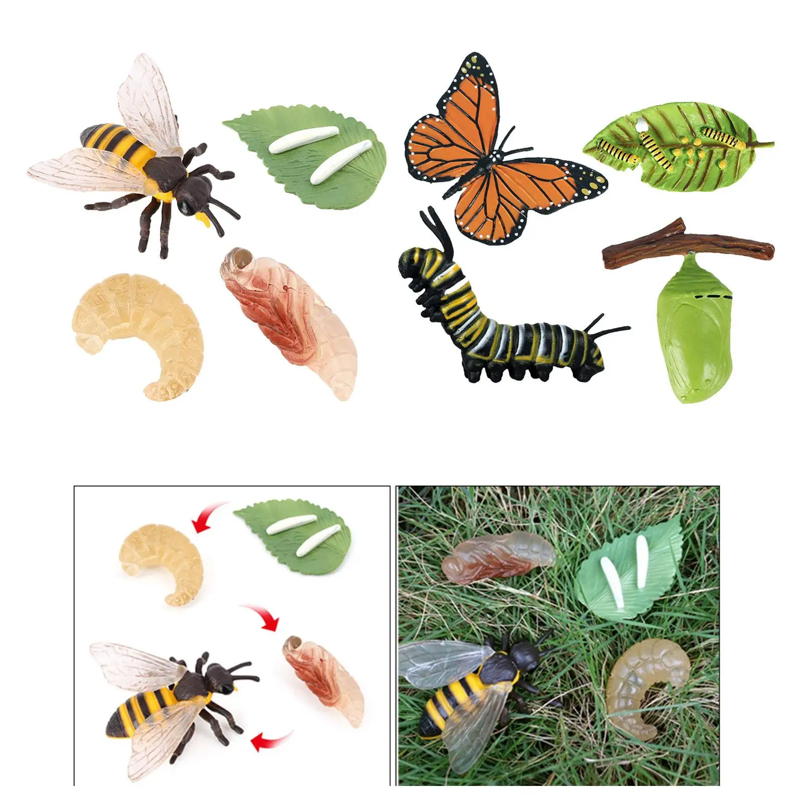 Plastic Bee Growth Kids Preschool Learning Biology Toy Role Play